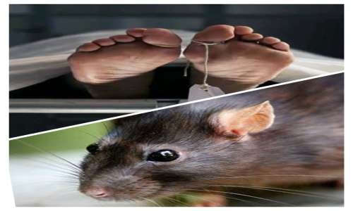 सरकारी अस्पताल में चूहे के काटने से महिला की मौत